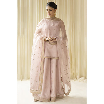 Pink Outfit / Choti Eid 23