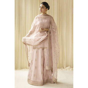 Pink Outfit / Choti Eid 23