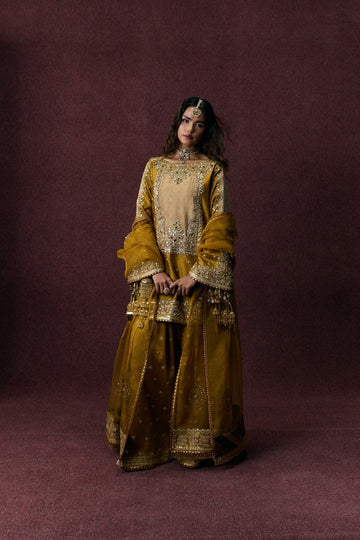 Bahar Begum