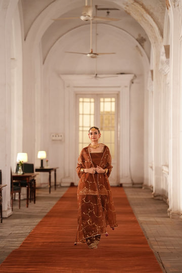 Brown Outfit