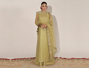 Pistachio Green Outfit
