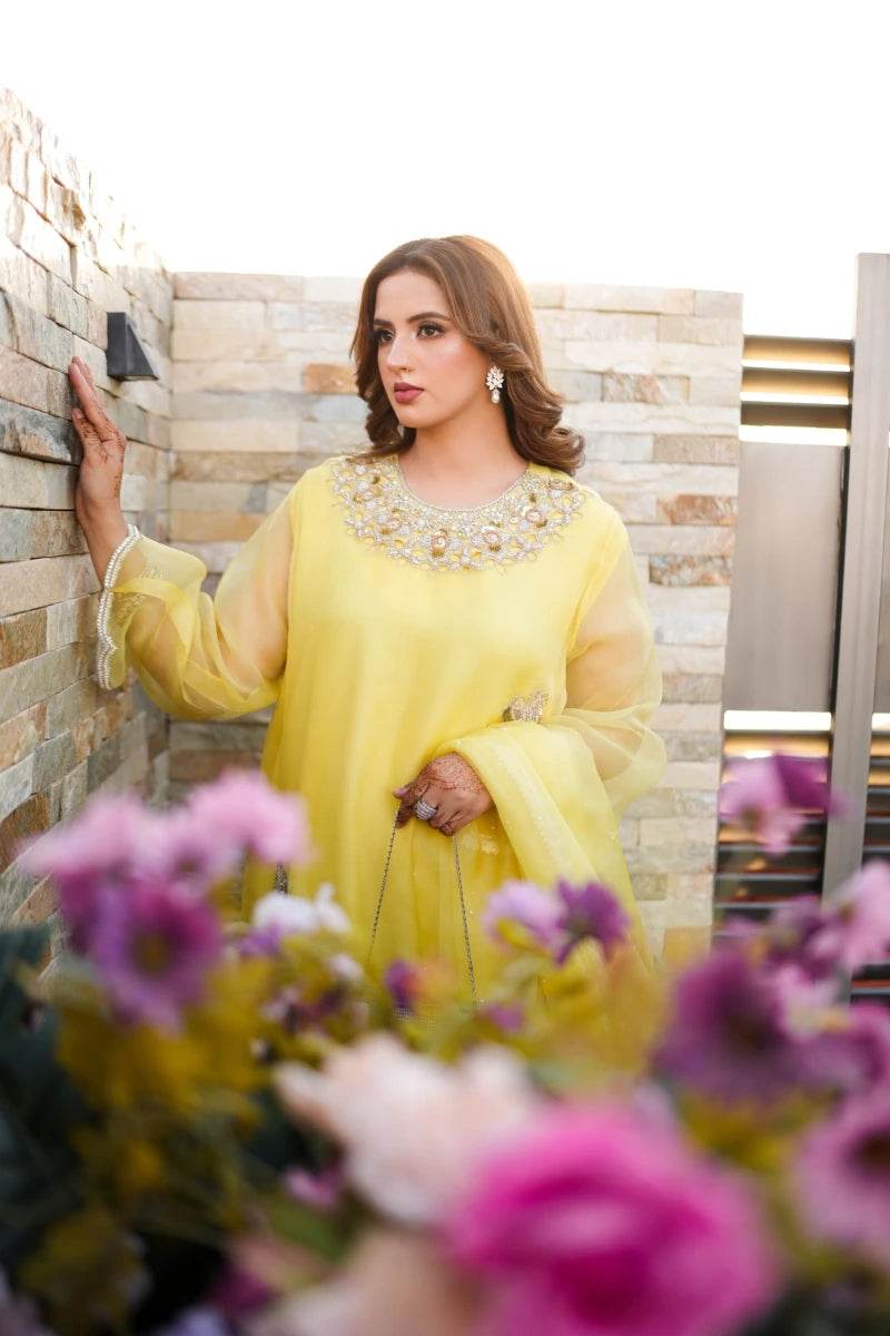 Lemon Cutwork Organza Set - Labels & Co