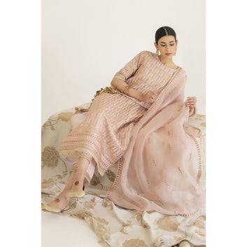 Powder Pink Outfit/ Nargis