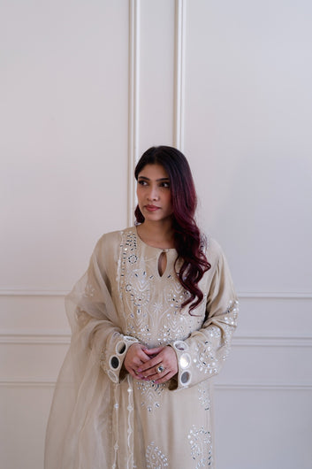 Shirin-41 dull cloud