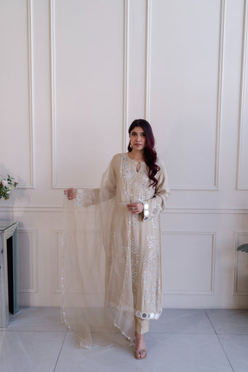 Shirin-41 dull cloud