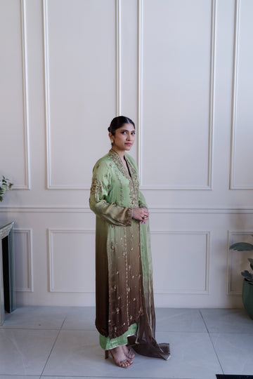 Shirin-60 willow