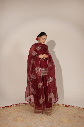 Anari Outfit