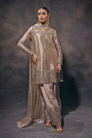 ZZ2331 Areti