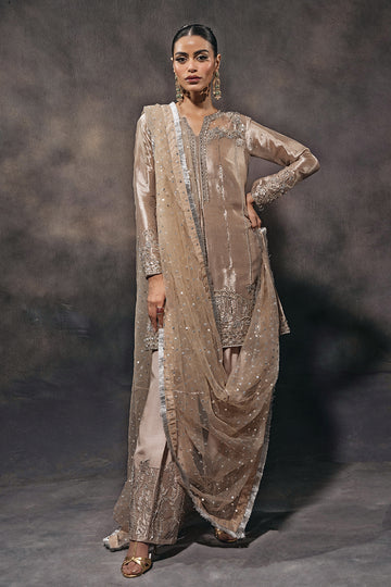ZZ2331 Areti
