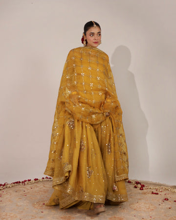 Dandelion Yellow Outfit