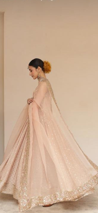 Beige Pink Anarkali / Sheesham 24