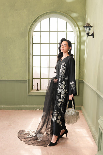 Shirin-68 Black Beauty